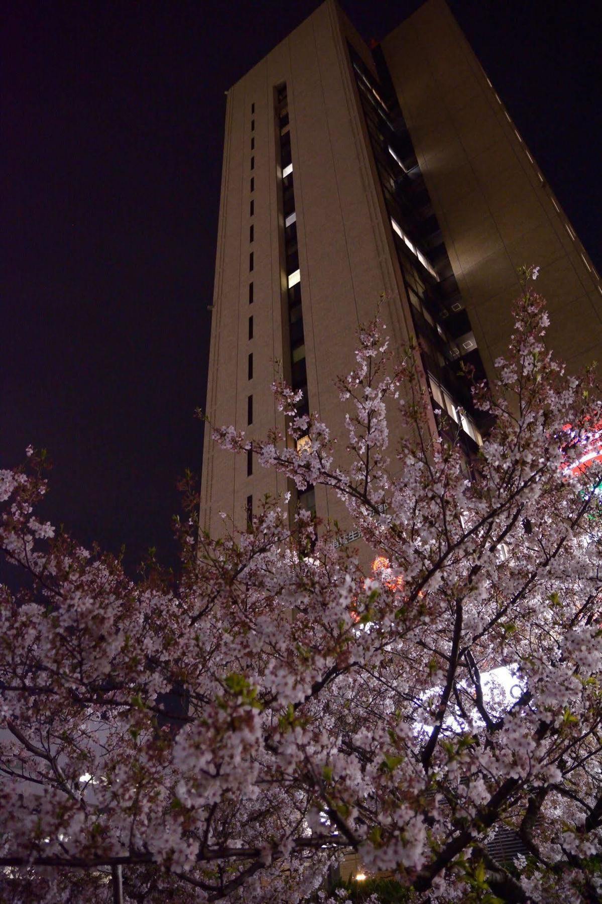 Tokyo Central Youth Hostel Экстерьер фото